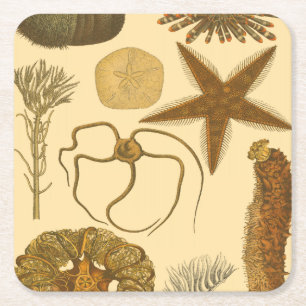 Dessous-de-verre Carré En Papier Créatures sous-marines