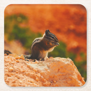 Dessous-de-verre Carré En Papier Cute Chipmunk