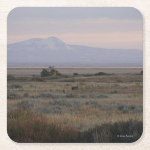 Dessous-de-verre Carré En Papier D10 Cerfs à queue blanche dans Sandhills