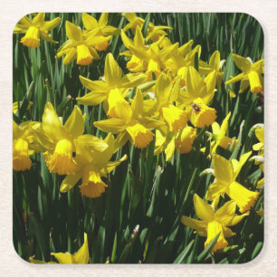 Dessous-de-verre Carré En Papier Daffodiles Jaunes I Fleurs De Printemps Cheveux