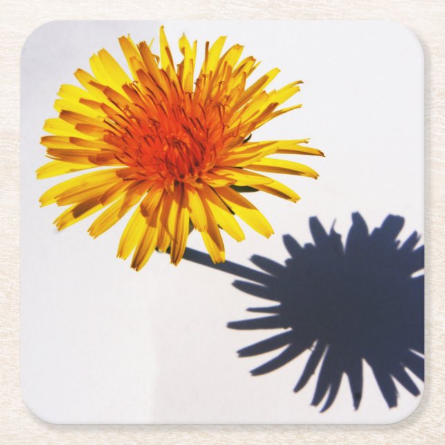 Dessous-de-verre Carré En Papier Dandelion et ombre coastercnm (Devant)