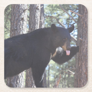 Dessous-de-verre Carré En Papier Dessous de verre de boisson de l'ours noir