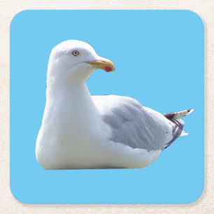 Dessous-de-verre Carré En Papier Dessous de verre de bronzage de goélands argentés