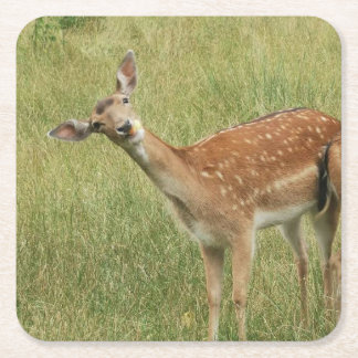 Dessous-de-verre Carré En Papier Dessous de verre de cerfs