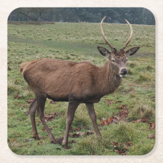 Dessous-de-verre Carré En Papier Dessous de verre de cerfs