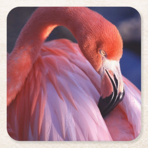 Dessous-de-verre Carré En Papier Dessous de verre de papier Flamant rose