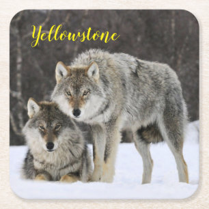 Dessous-de-verre Carré En Papier Dessous de verre de papier Set Wolf Yellowstone