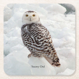 Dessous-de-verre Carré En Papier Dessous de verre en papier de hibou neigeux