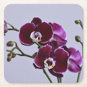 Dessous-de-verre Carré En Papier Dessous de verre en papier violet orchidée