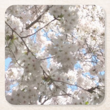 Dessous de verre papier Cherry Blossom