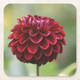 Dessous-de-verre Carré En Papier Dessous de verre Red Dahlia