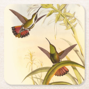 Dessous-de-verre Carré En Papier Deux colibris colorés visant pour la même fleur
