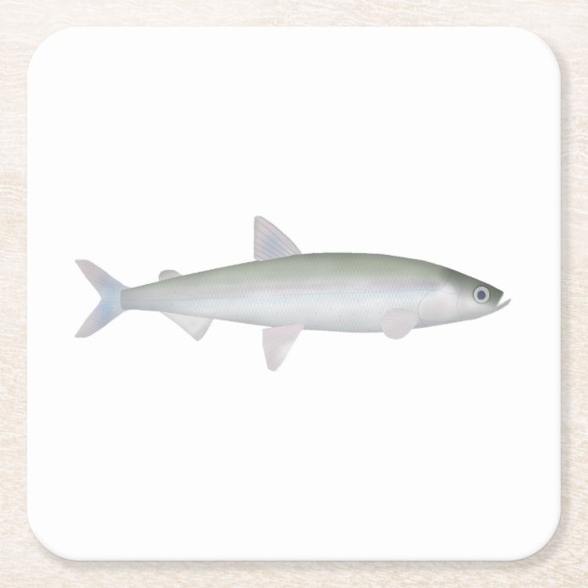 Dessous-de-verre Carré En Papier Éperlan arc-en-ciel (Devant)