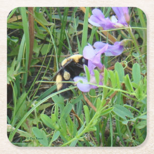Dessous-de-verre Carré En Papier F2 Abeille sur Fleur Sauvage Violette