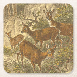 Dessous-de-verre Carré En Papier Famille des oeufs de poisson - cerfs communs dans