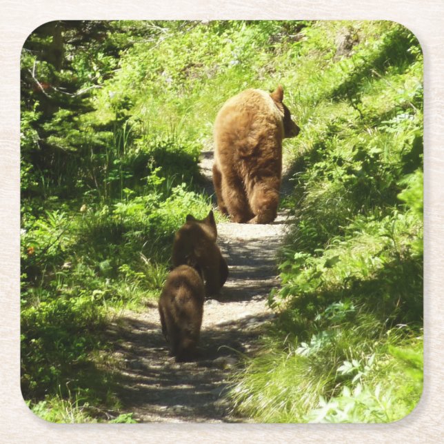 Dessous-de-verre Carré En Papier Famille d'ours Brown (Devant)