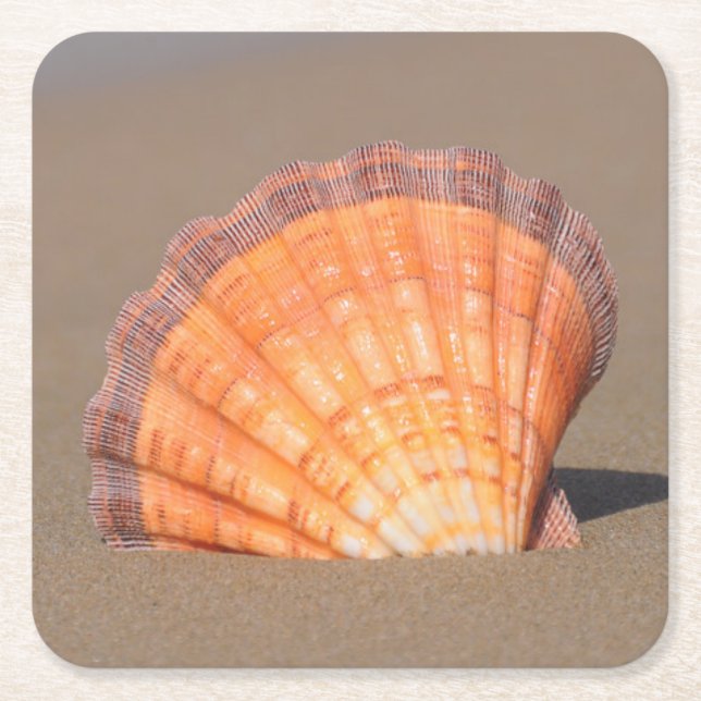Dessous-de-verre Carré En Papier Feston Shell| Crète, Grèce (Devant)
