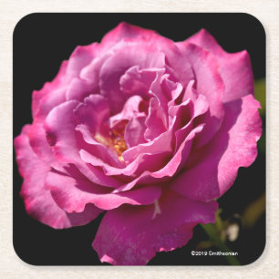 Dessous-de-verre Carré En Papier -Fin rose de visage d'ange