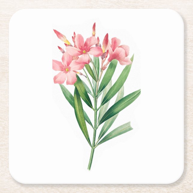 Dessous-de-verre Carré En Papier Fleur : A005 Oleander - (Devant)