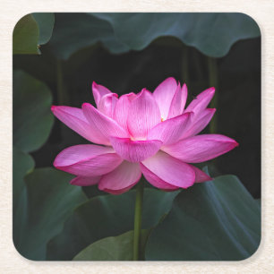 Dessous-de-verre Carré En Papier Fleur de Lotus