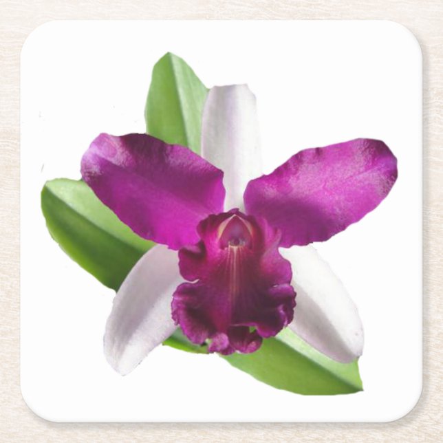 Dessous-de-verre Carré En Papier Fleur d'orchidée de Cattleya (Devant)