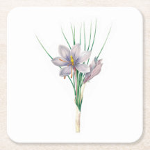 Fleurs : A007 Crocus d'automne -
