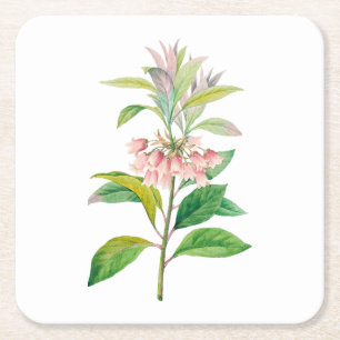 Dessous-de-verre Carré En Papier Fleurs : A013 Redvein Enkianthus -