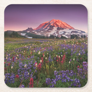 Dessous-de-verre Carré En Papier Fleurs colorées en parc national plus pluvieux