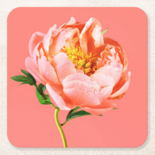 Dessous-de-verre Carré En Papier Fleurs Coral Peony Blossom