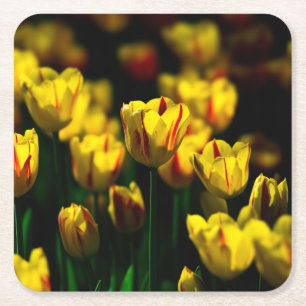 Dessous-de-verre Carré En Papier Fleurs de tulipe jaune