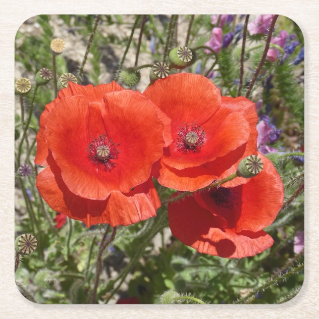 DESSOUS-DE-VERRE CARRÉ EN PAPIER FLEURS POPPY (Devant)