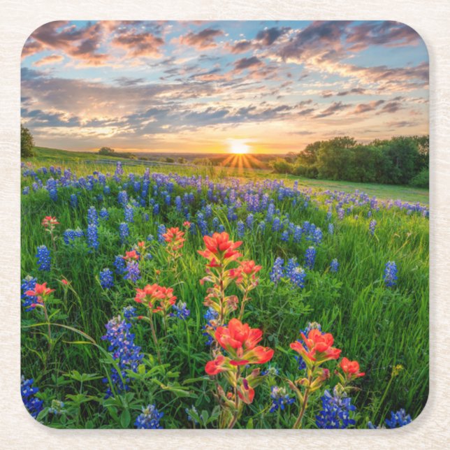 Dessous-de-verre Carré En Papier Fleurs | Texas Bluebonnets & Indian Paintbrush (Devant)