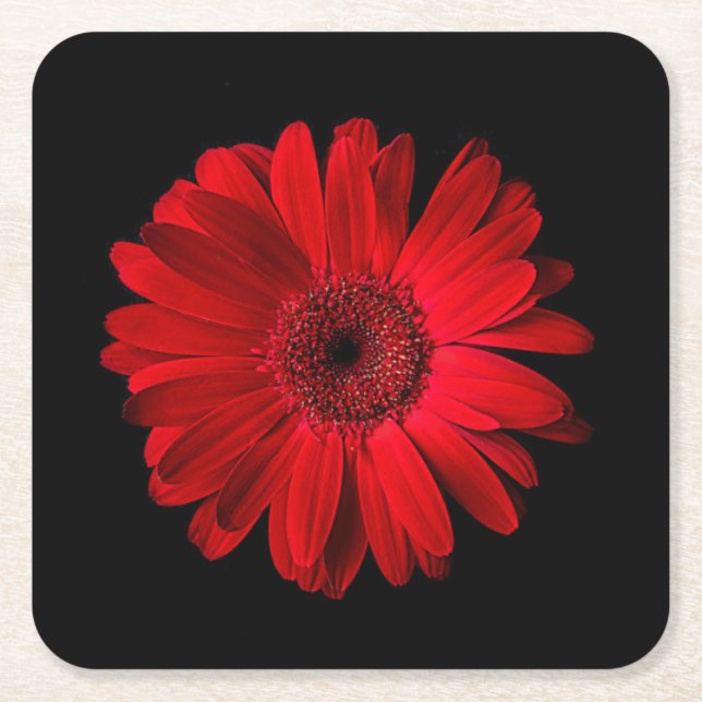 Dessous-de-verre Carré En Papier Flowers | Red Gerbera Daisy (Devant)