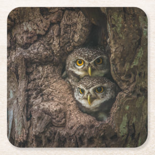 Dessous-de-verre Carré En Papier Forest Deux Owls Looking