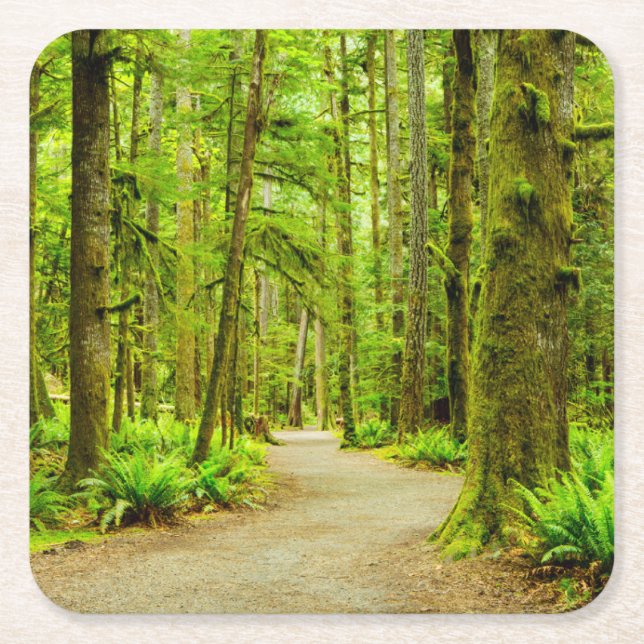 Dessous-de-verre Carré En Papier Forests | Olympic National Park (Devant)