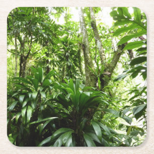 Dessous-de-verre Carré En Papier Forêt de pluie dominicaine I Nature verte tropical