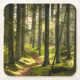Dessous-de-verre Carré En Papier Forêt   Forêt boréale Suède