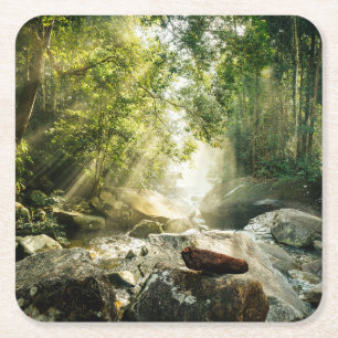 Dessous-de-verre Carré En Papier Forêt   Forêt tropicale de la Jungle