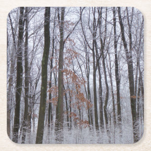 Dessous-de-verre Carré En Papier Forêt huppée neige paysage d'hiver Photographie