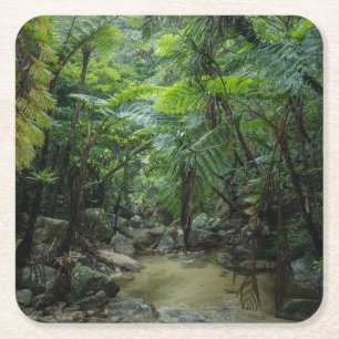 Dessous-de-verre Carré En Papier Forêt   Parc national Iriomote Ishigaki