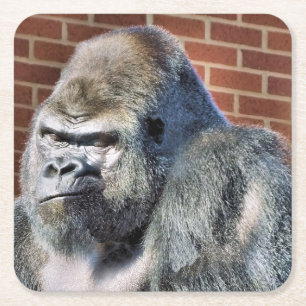 DESSOUS-DE-VERRE CARRÉ EN PAPIER FUNNY GORILLA