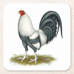 Dessous-de-verre Carré En Papier Gamecock Bleu d'argent du jeu américain