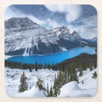 Glace et neige | Lac Peyto, Rocheuses canadiennes