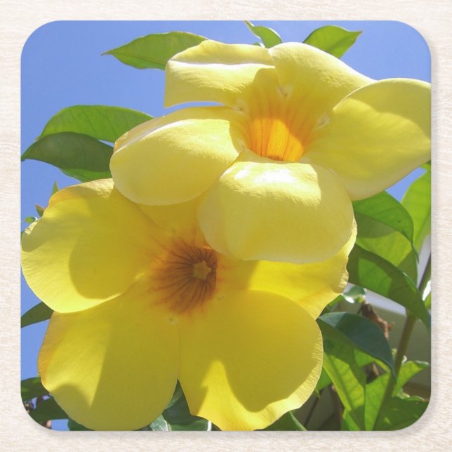 Dessous-de-verre Carré En Papier Golden Trumpet (Devant)