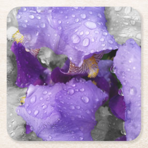 Dessous-de-verre Carré En Papier gouttes de pluie sur iris