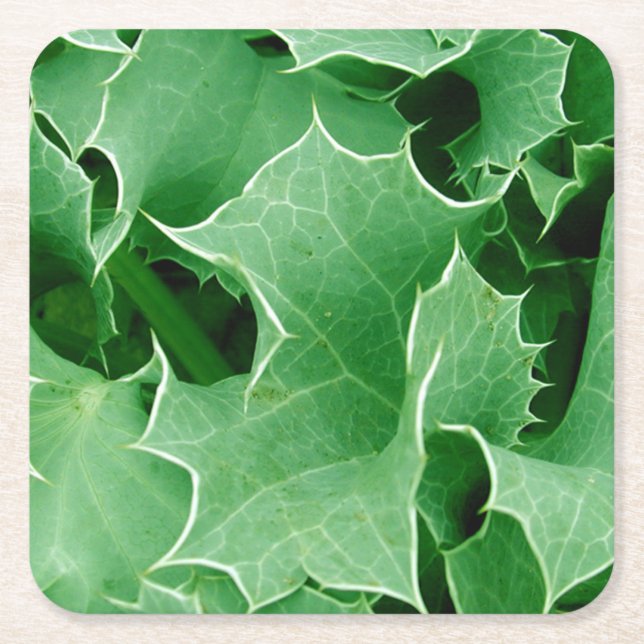 Dessous-de-verre Carré En Papier Green Christmas Holly (Devant)