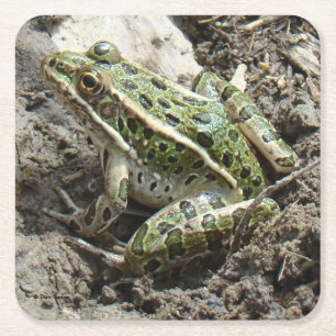 Dessous-de-verre Carré En Papier Grenouille léopard R3