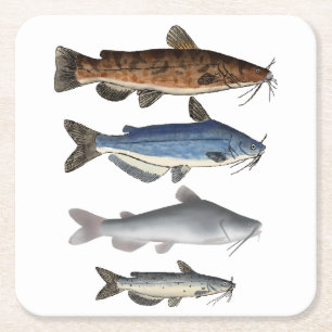 Dessous-de-verre Carré En Papier Groupe de poissons de l'Amérique du Nord
