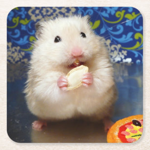 Dessous-de-verre Carré En Papier Hamster syrien pelucheux Kokolinka mangeant une