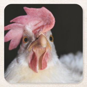 Dessous-de-verre Carré En Papier Hen